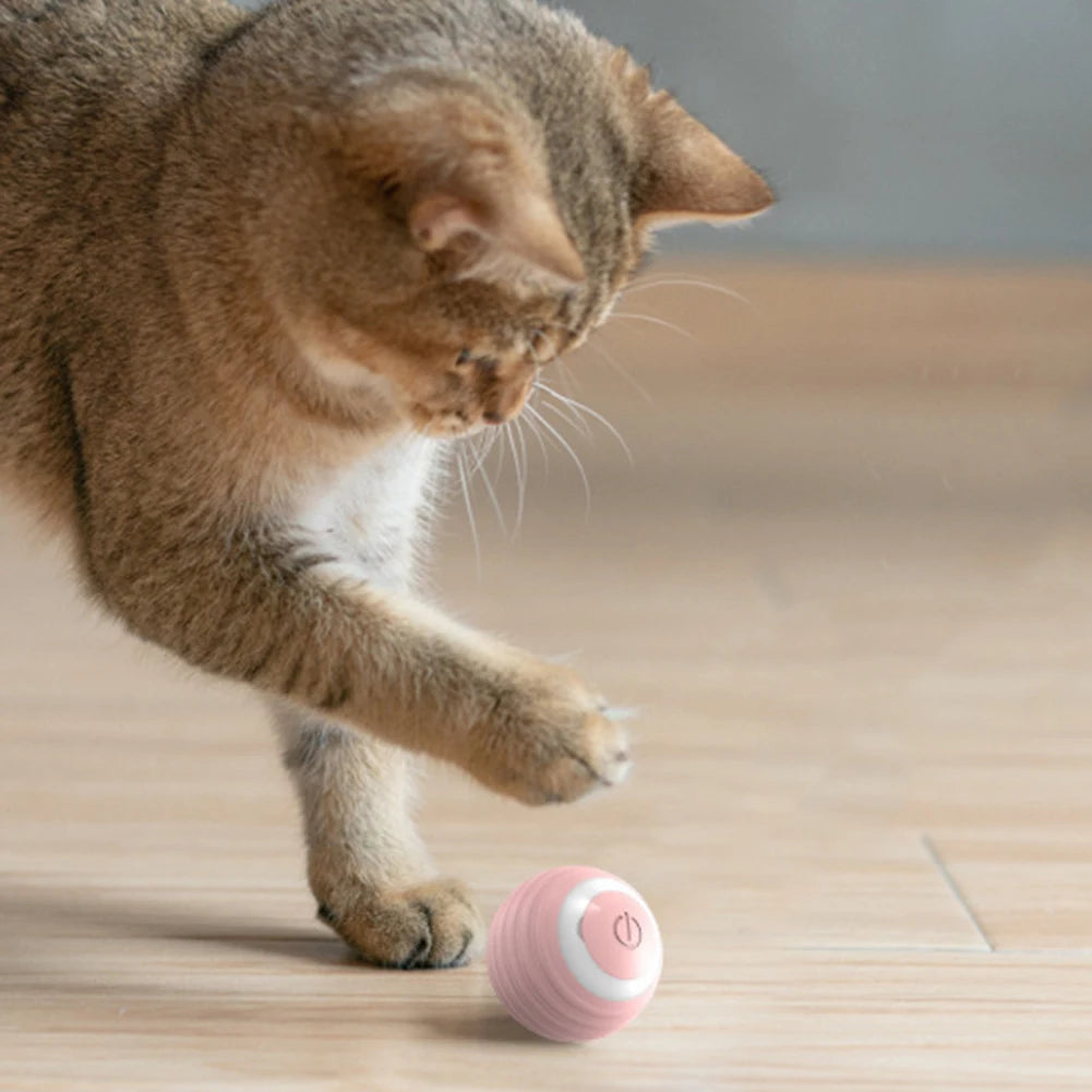 KittyGlow – Der interaktive LED-Spielball für Katzen