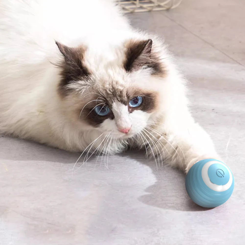 KittyGlow – Der interaktive LED-Spielball für Katzen