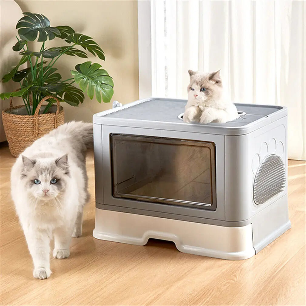 PurrFold – Die faltbare Katzen-Toilette mit Stil