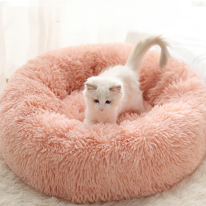 Gemütliches Plüsch-Haustierbett für Katzen & Hunde, rundes Design für jede Jahreszeit