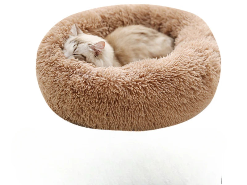 Gemütliches Plüsch-Haustierbett für Katzen & Hunde, rundes Design für jede Jahreszeit